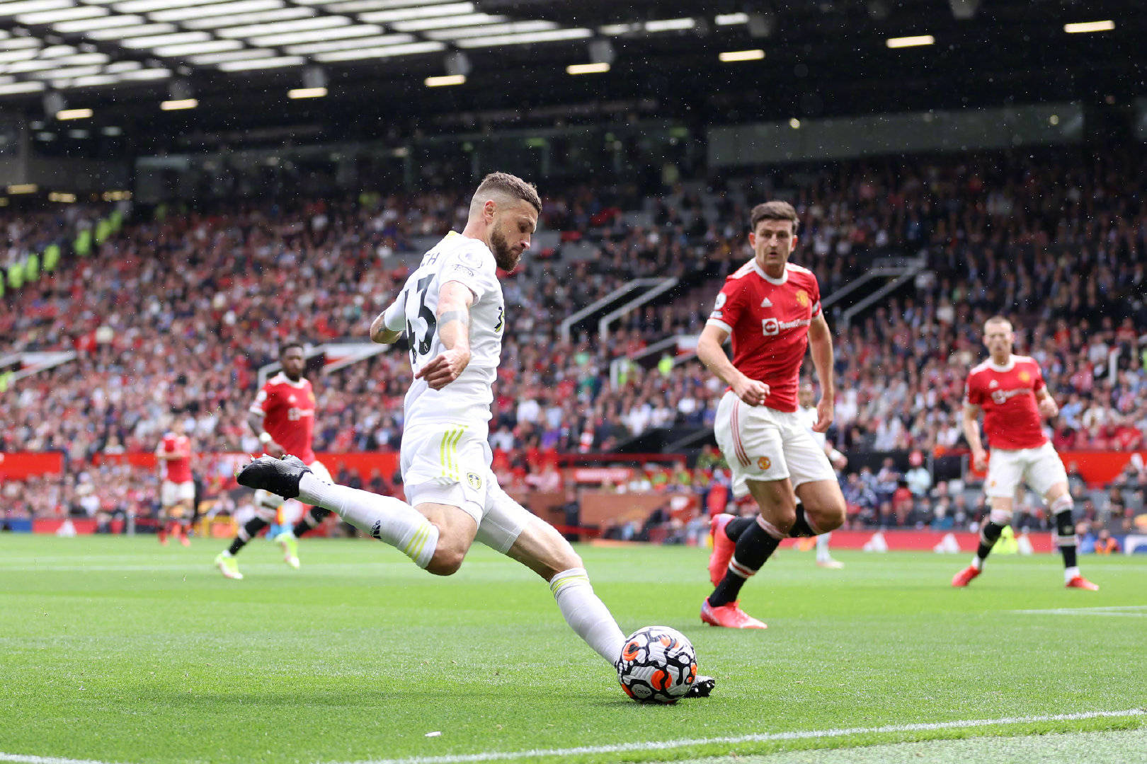 一个巨大的 一个巨大的